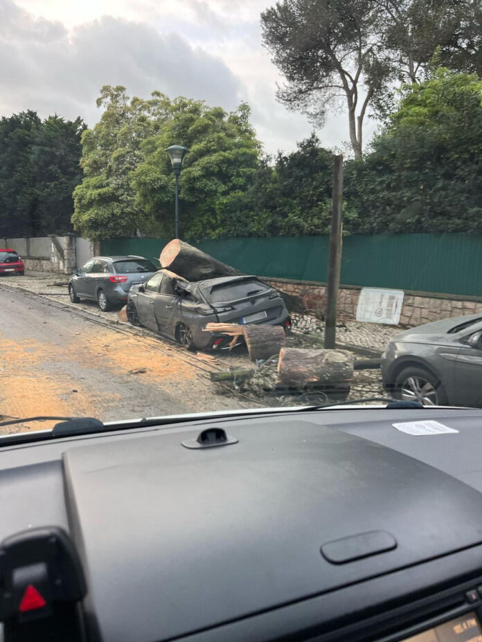 Dezenas de ocorrências em Cascais durante a noite