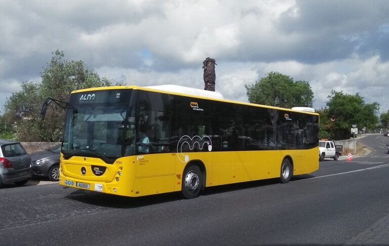 Carris Metropolitana com horários especiais de Natal e Ano Novo em linhas e Espaços Navegante