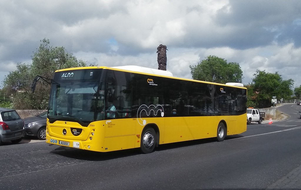 Carris Metropolitana com horários especiais de Natal e Ano Novo em linhas e Espaços Navegante